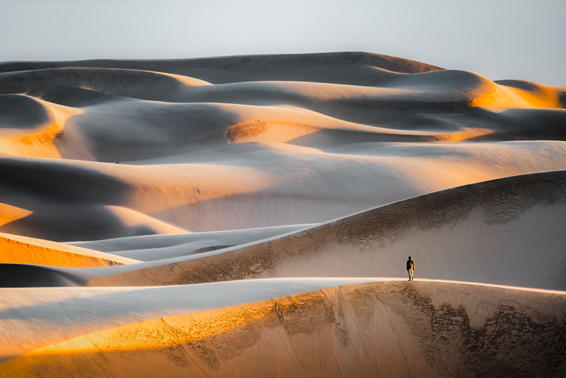 Flores del desierto: pensar el desierto en la filosofía de Friedrich Nietzsche y Hannah Arendt 1 Flores del desierto