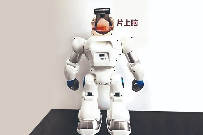 Futuro Imperfecto #27: Los nuevos ordenadores con neuronas humanas 1 Robot con organoide cerebral humano. Fotografía Universidad de Taijin. futuro imperfecto ordenador neurona