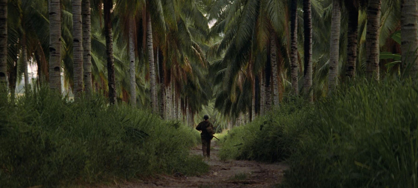 Muerte por postpro 4 Postpro