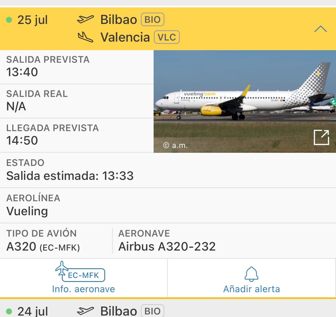 La premonición y los piratas (o el extraño caso del vuelo VY3968) 2 vueling01