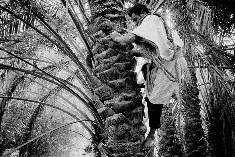 Genios, nómadas y beduinos: Siwa, el oasis de Amón Zeus (y 2) 2 Genios, nómadas y beduinos Siwa, el oasis de Amón Zeus