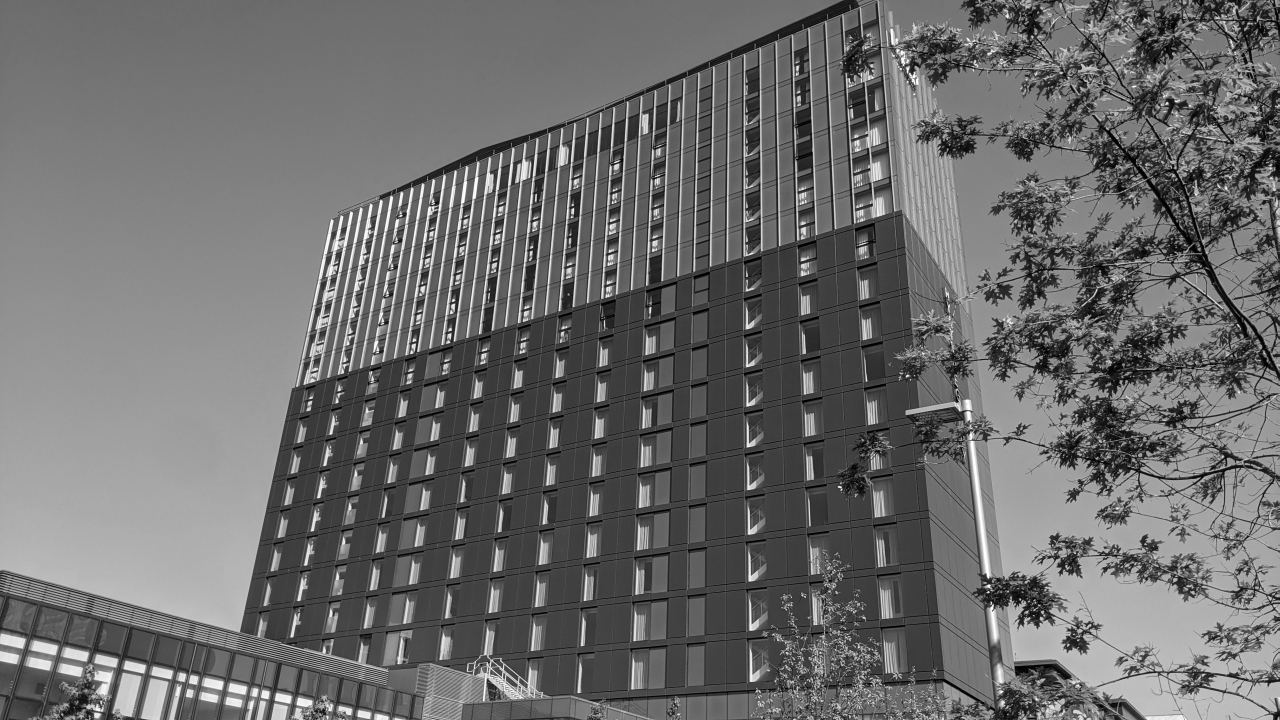 ¿Por qué los hoteles que usan software de reservas propios aumentan su rentabilidad? 1 Hyatt Hotel