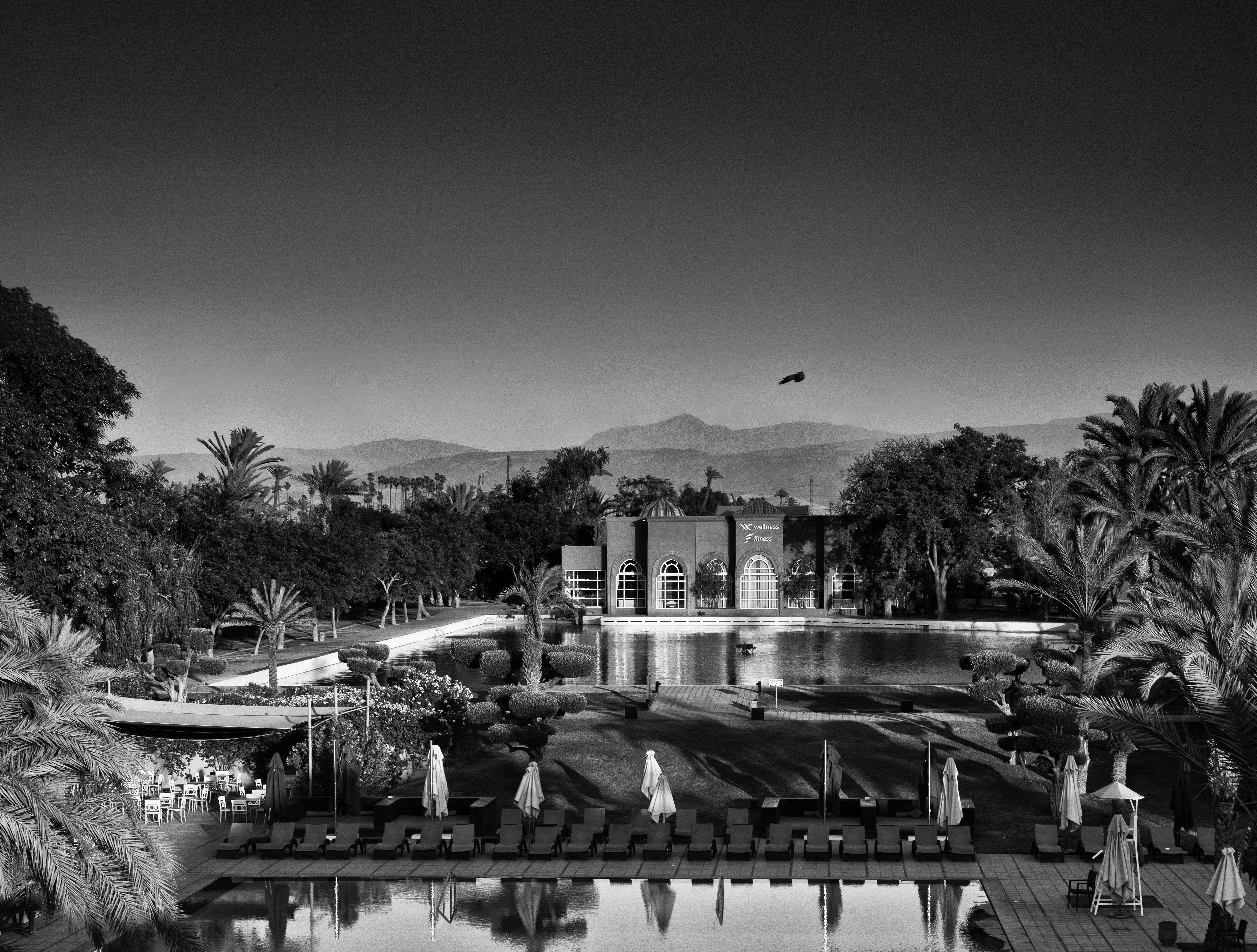 Pasaporte Formentor: gente viajada, gente leída 4 MARRAKECH BARCELO 07613 EDITADA