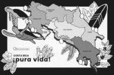 Una noche con las tortugas madrazas