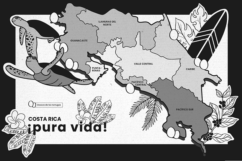 Una noche con las tortugas madrazas