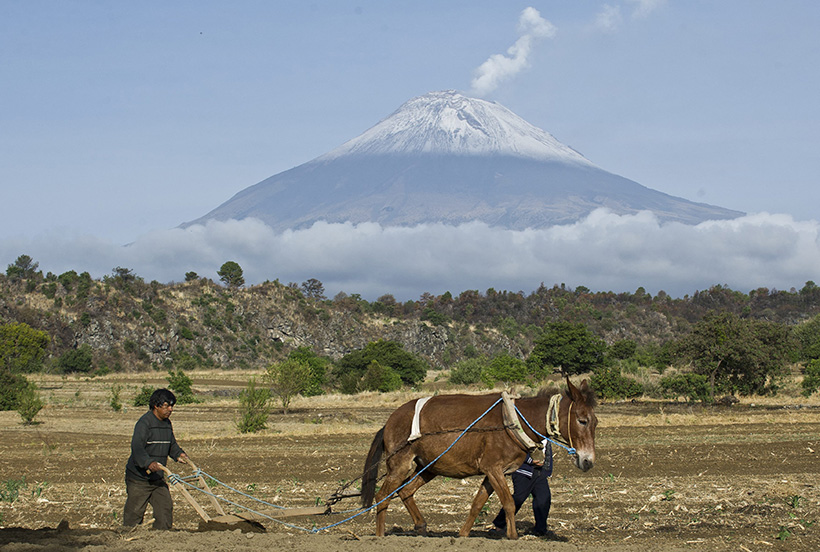 Popocatépetl, la voz de don Goyo