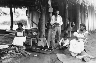 Las lenguas de México