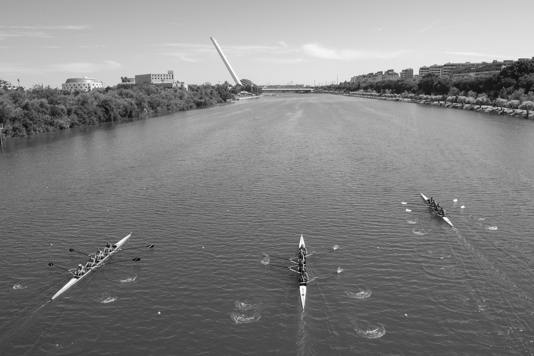 El Guadalquivir, desde las carabelas hasta la Copa del Mundo de Remo 1 remo