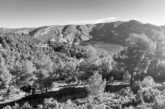 Un paisaje del Alto Turia. Foto Francisco J. Tapiador.