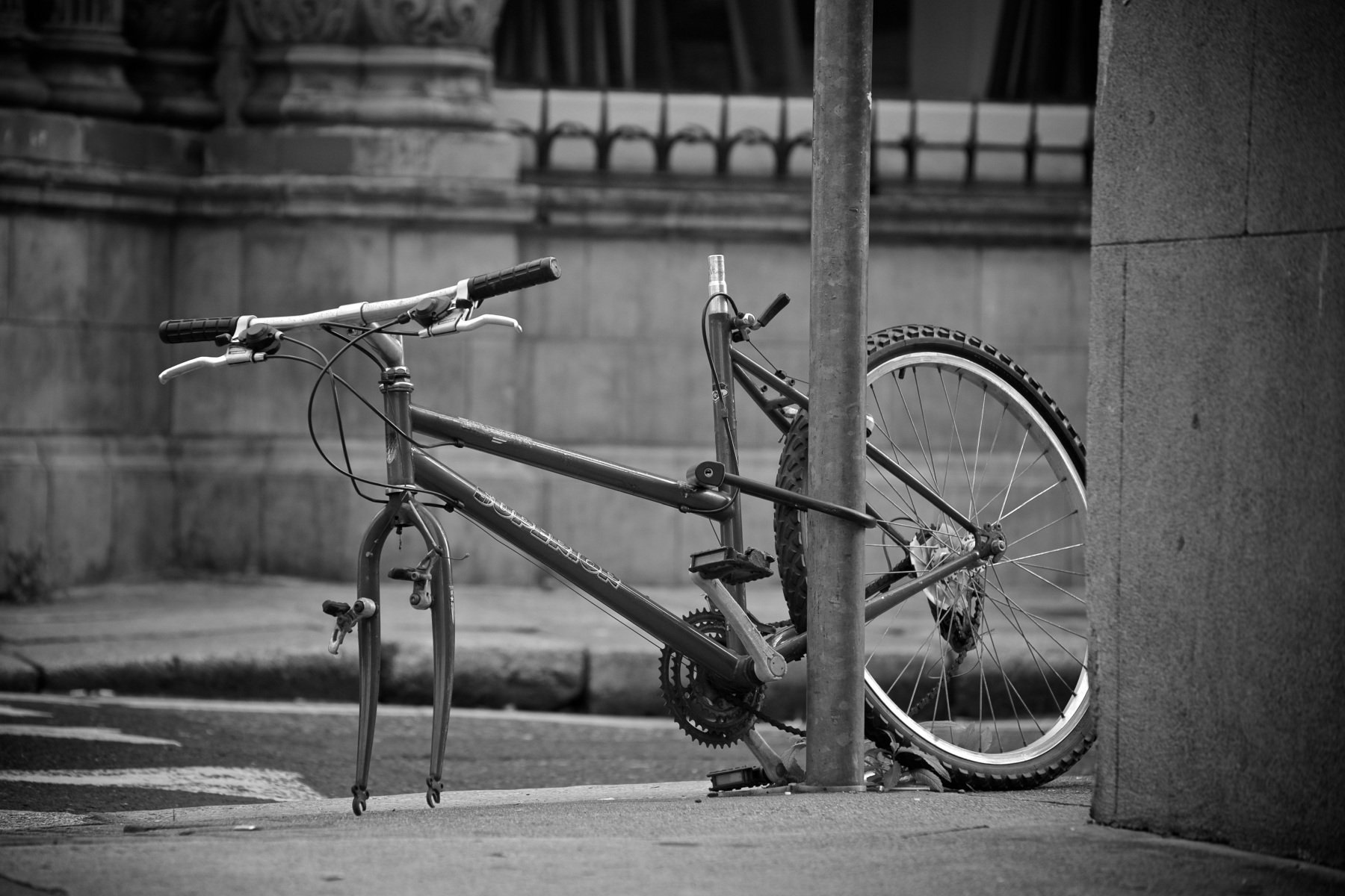 bicicleta estacionada en el sendero