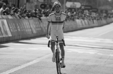 20250406 zsp l193 213