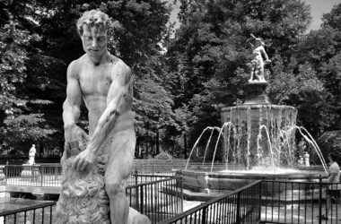 El álamo blanco y la memoria de la piedra del Palacio de Aranjuez