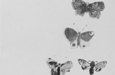 Odilon Redon Five Butterflies c. 1912 NGA 66514bn