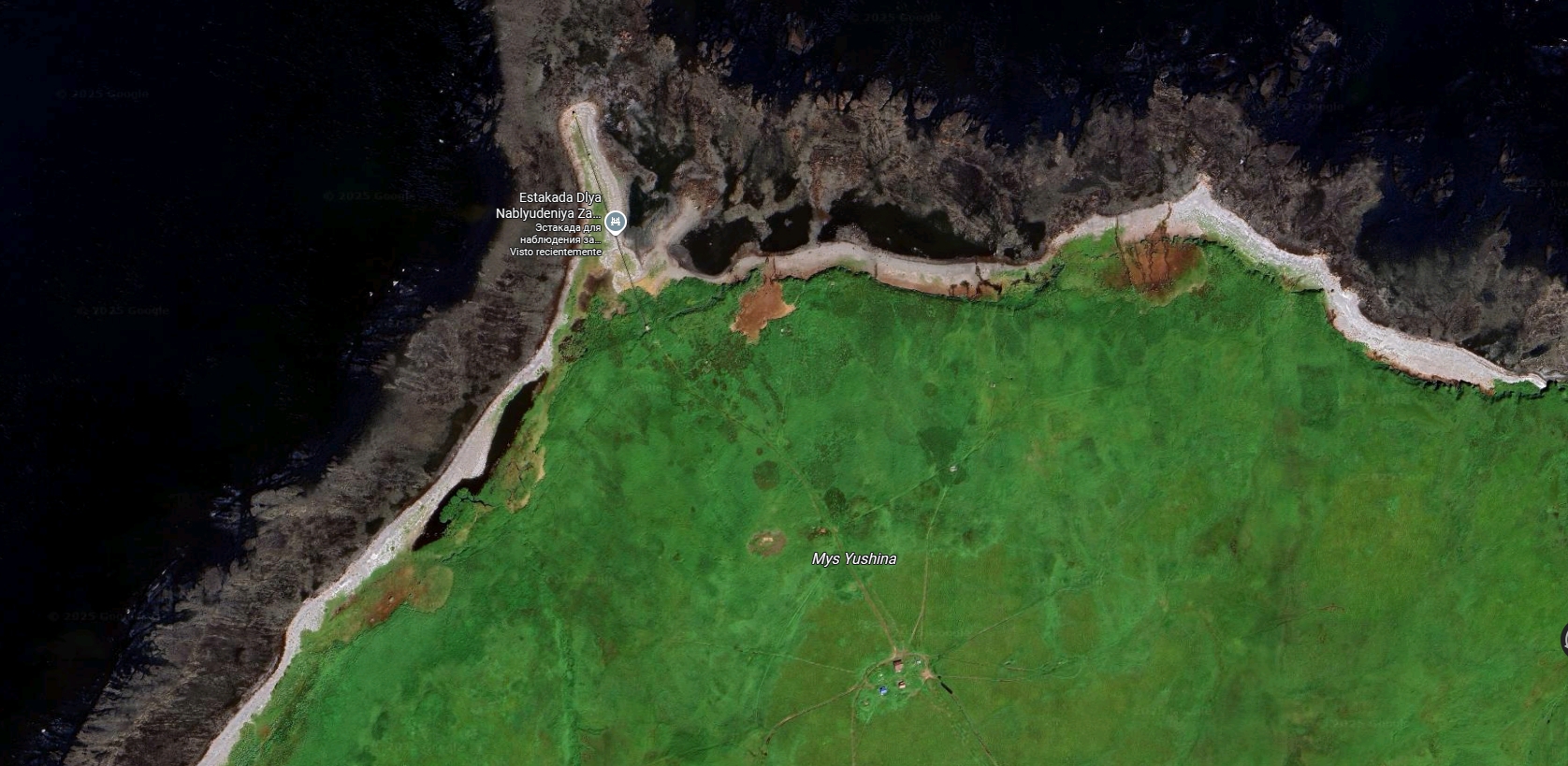 Mys Yushina, el cebuano y un wikipedista singular 1 mys yushina