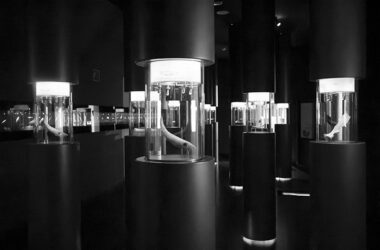 Un diálogo entre neandertales y realidad virtual