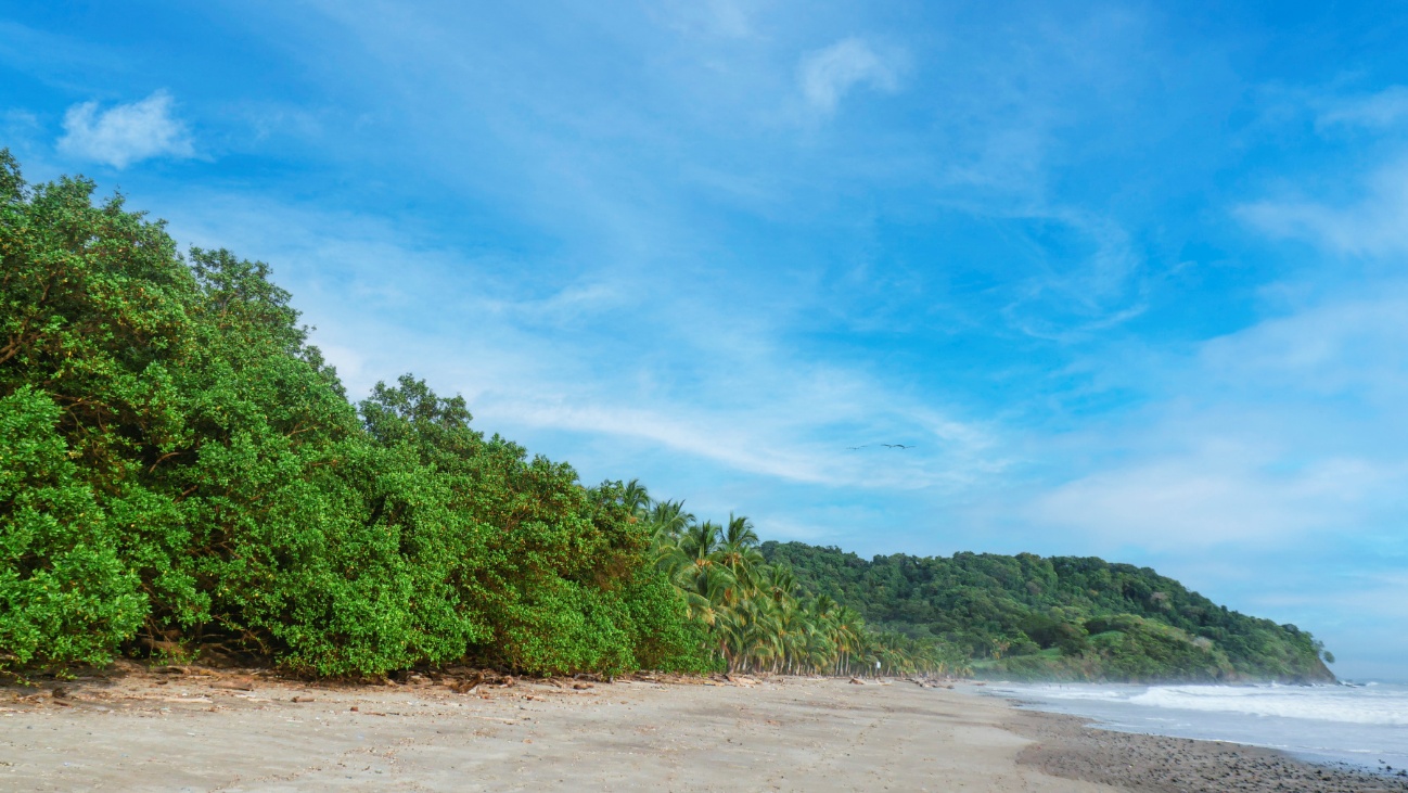 Serena Blue Residences, investing in nature, well-being, and permanence 1 serena1