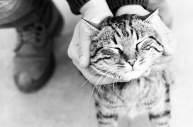 Fotografía Yağmur Adam (CC). migatavega