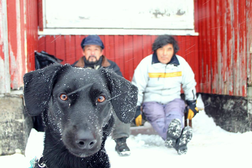 Taiwán, Groenlandia; idealismo, realismo