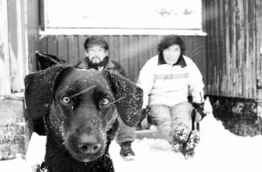 Tres habitantes de Groenlandia. Foto Thiago Fernandes (CC)