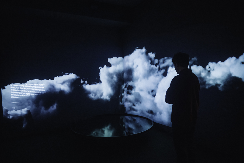 Rodoreda, un bosque en el CCCB 7 Rodoreda