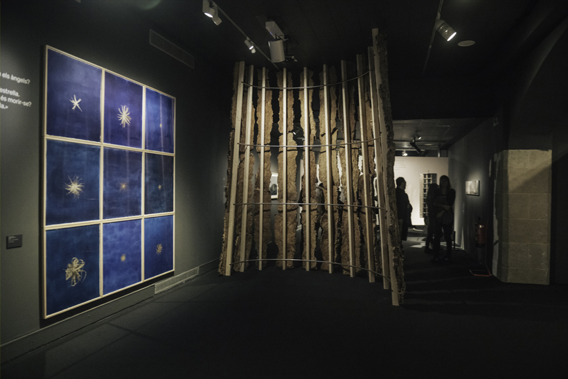 Rodoreda, un bosque en el CCCB 6 Rodoreda