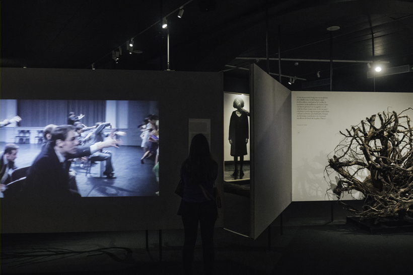 Rodoreda, un bosque en el CCCB 2 Rodoreda