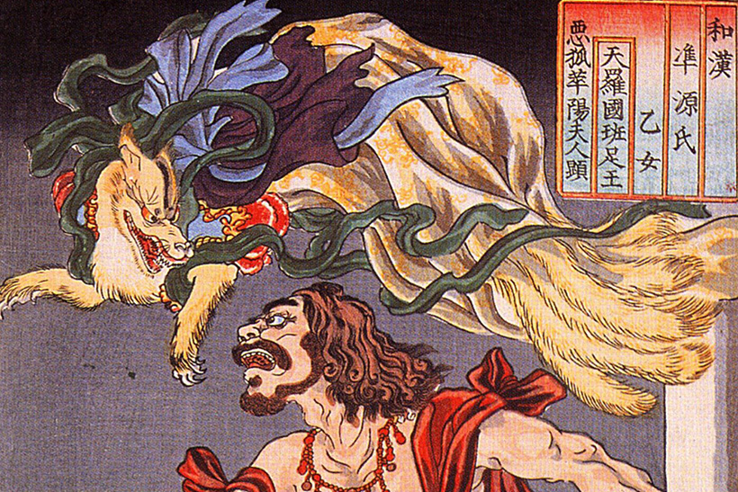 El zorro y la inteligencia sospechosa