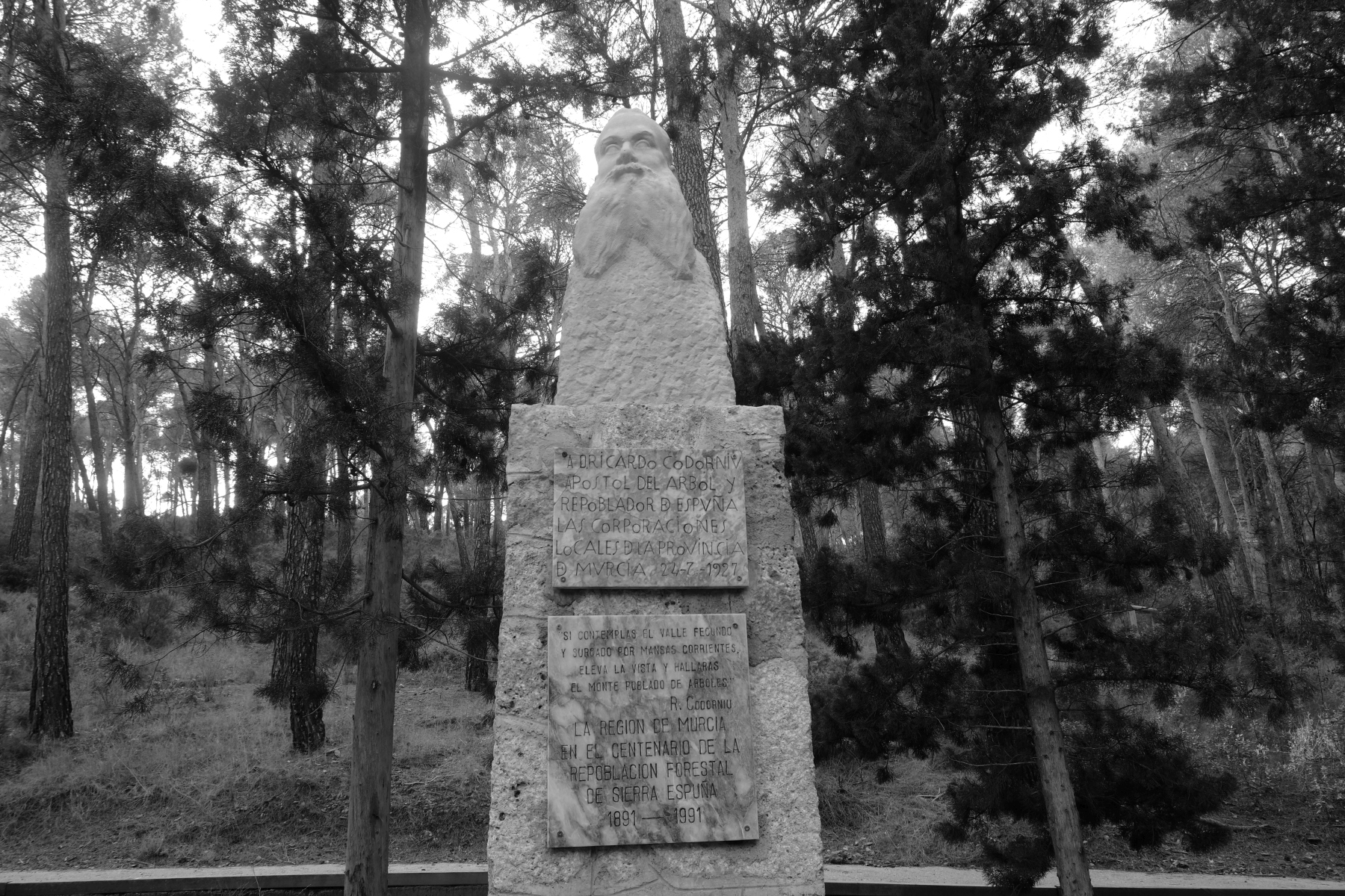 Sierra Espuña. Cinco historias de una montaña 3 espuna1