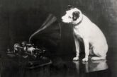 OriginalNipper