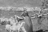 Tarde en los Alpes, de Giovanni Segantini. montaña y política