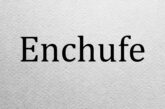quiz origen palabras